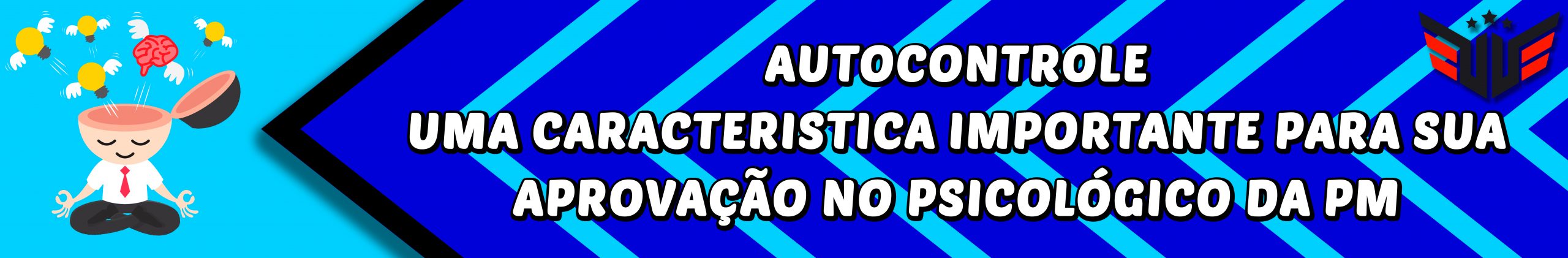 AUTOCONTROLE PARA APROVAÇÃO NA PM