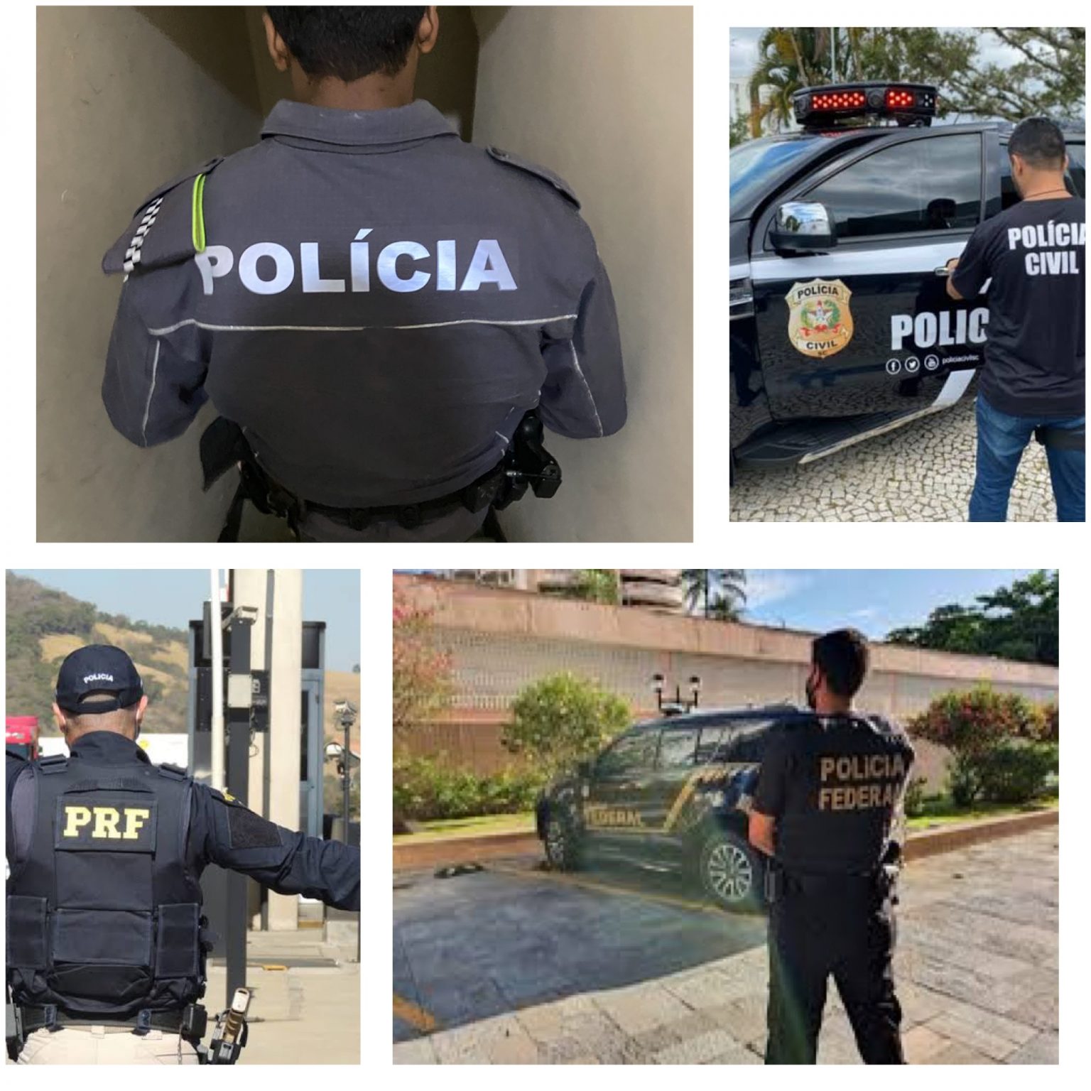 Tipos de Polícia: Entenda a Polícia Brasileira - Curso Palestra Gratuita