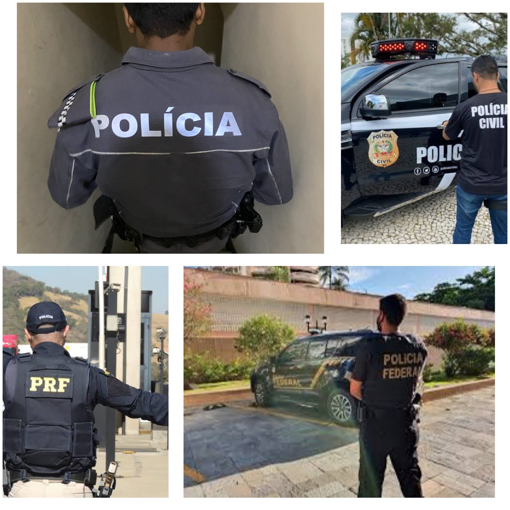 tipos de polícia