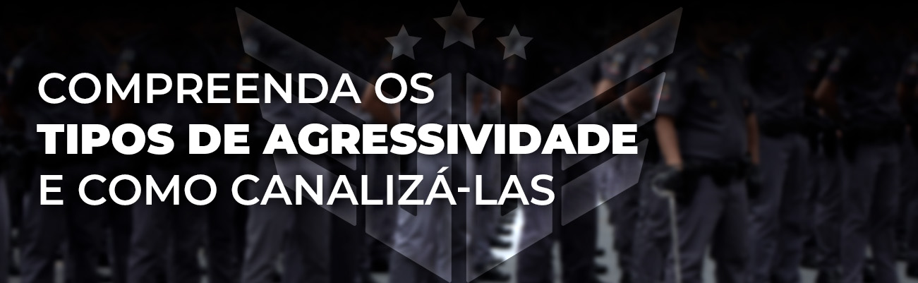 COMPREENDA OS TIPOS DE AGRESSIVIDADE E COMO CANALIZÁ-LAS